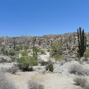 Baja2011 1074 : Baja2011